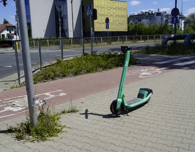 Miniatura: Nowe zasady dotyczące hulajnóg...