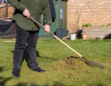 Miniatura: Nie rób tego po przymrozkach! Jeden błąd...