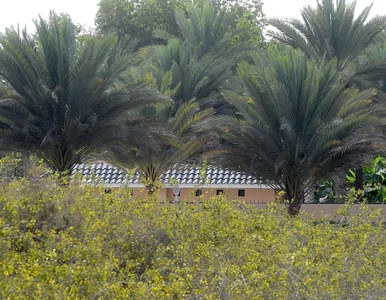 Miniatura: Avicii zmarł na terenie posiadłości...