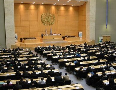 Miniatura: Rada Bezpieczeństwa potępiła Koreę Płn.