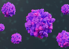 Miniatura: Specjalista chorób zakaźnych: Te wirusy...