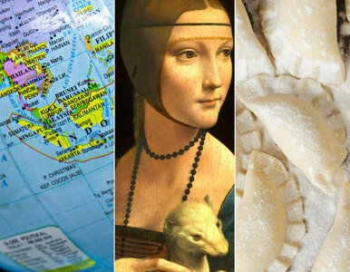 Miniatura: Byłeś prymusem w szkole? Sprawdź, czy dasz...