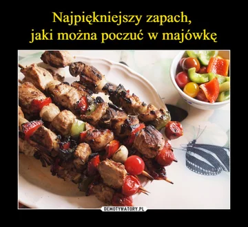 Memy na majówkę 