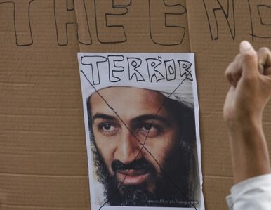 Miniatura: Akcja przeciw bin Ladenowi: pięciu...
