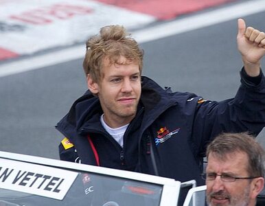 Miniatura: Vettel mistrzem świata Formuły 1