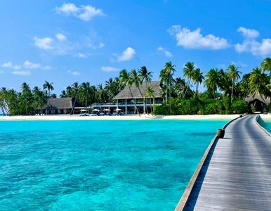 Miniatura: Malediwy