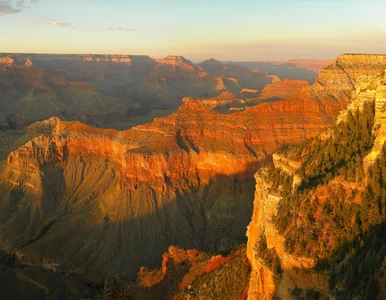 Miniatura: QUIZ z wiedzy ogólnej. Nie zdobyć 8/10 to...