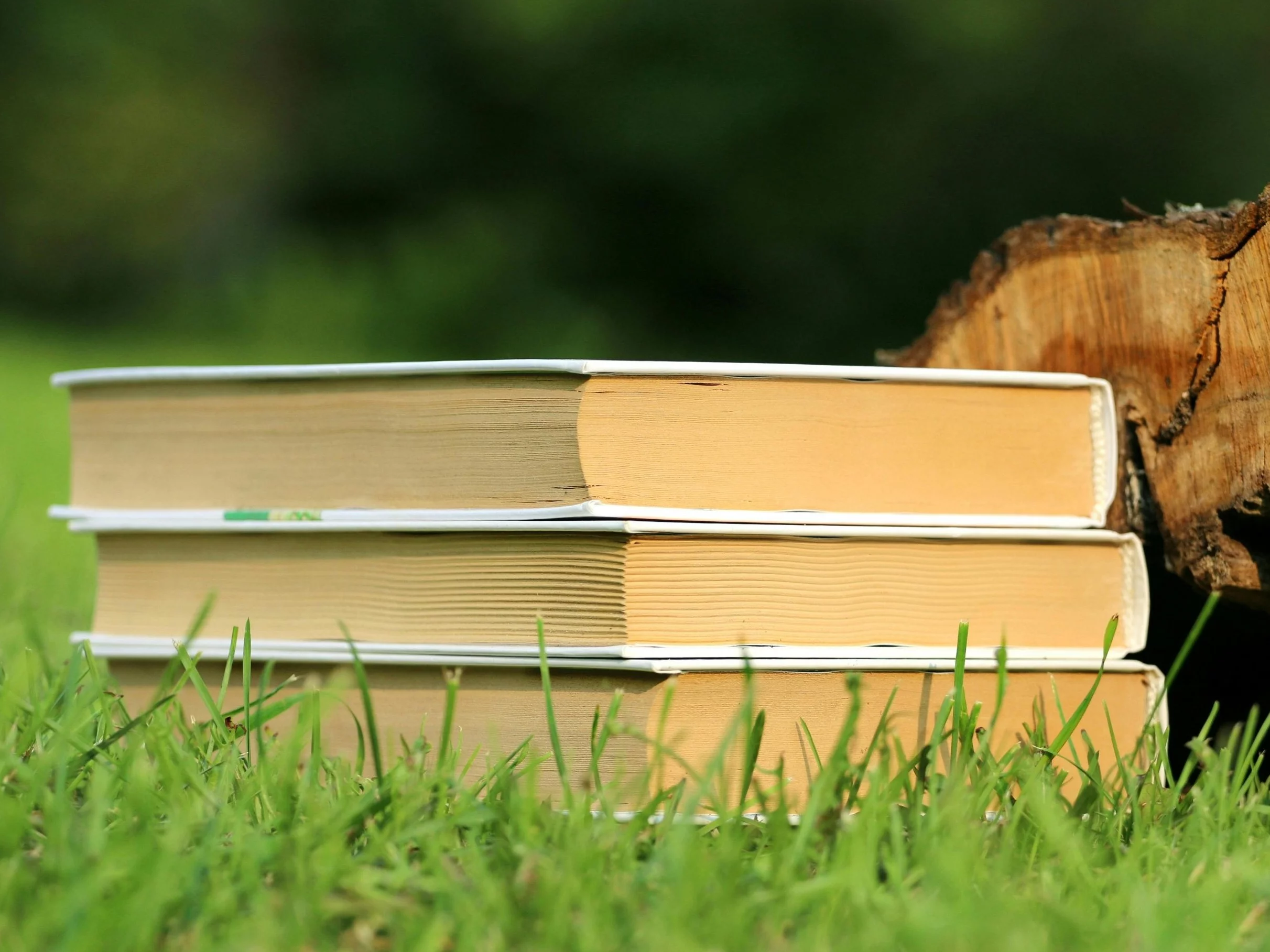 Jesteś miłośnikiem literatury? Uzupełnij tytuły książek