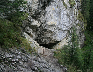 Miniatura: Zagadka z jaskini Stajnia. „Polscy”...