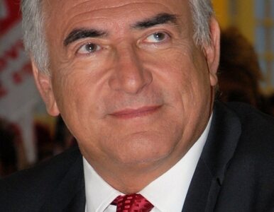 Miniatura: Dziennikarka chce oskarżyć Strauss-Kahna,...