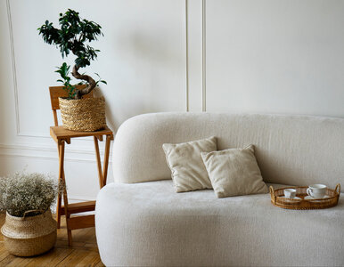 Miniatura: Plamy tłuszczu na kanapie? Ten amerykański...