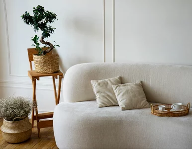 Miniatura: Plamy tłuszczu na kanapie? Ten amerykański...