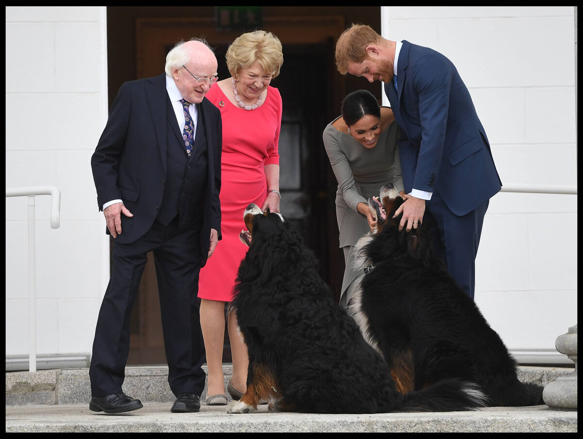 Meghan Markle i książę Harry podczas wizyty w Irlandii 