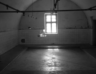 Miniatura: Sylwester w celi lepszy niż z rodziną