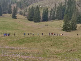 Miniatura: Turyści chcą je zobaczyć na własne oczy....