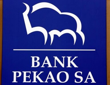 Miniatura: Rząd traci wpływ na Pekao SA
