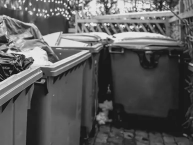 Miniatura: W śmietniku leżał martwy płód. Wkroczyła...