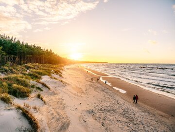 Plaża w&nbsp;Grzybowie