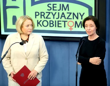 Miniatura: Kto zaopiekuje się dziećmi zmarłej...