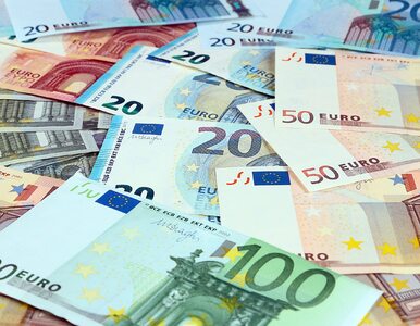 Miniatura: Europejskiej płacy minimalnej nie będzie?...