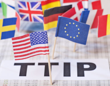 Miniatura: Wicekanclerz Niemiec: Negocjacje ws. TTIP...