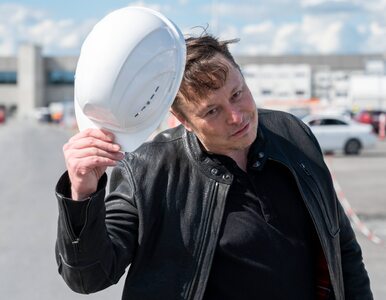 Dlaczego Elon Musk robi z siebie durnia?