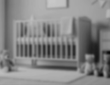 Miniatura: Koniec śledztwa w sprawie głośnej śmierci...