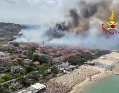 Miniatura: Ponad 800 pożarów we Włoszech. Turyści...