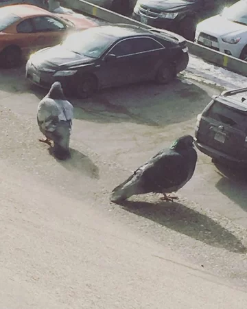 Coś tu się nie zgadza...A no tak, ujęcie z dachu 