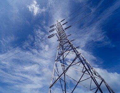 Miniatura: Polska zbuduje pierwszą w Europie małą...