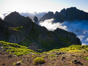 Miniatura: Tragiczny finał poszukiwań...