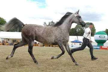 Fot. A. Jagielak/ Wprost