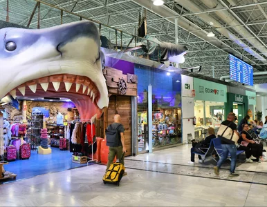 Miniatura: Okradał bagaże turystów. Pracownik...