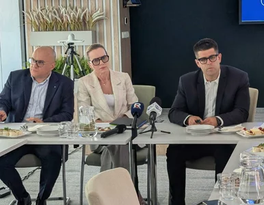 Miniatura: Prezes NRL: Ustawa proponowana przez MZ...