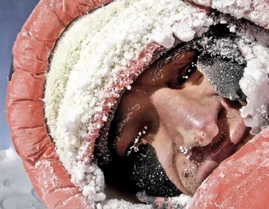 Miniatura: Wprost nr 12: Polska szkoła cierpienia