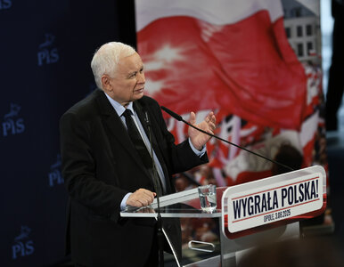 Miniatura: Przecieki z obozu PiS. Polityk zaskoczony...