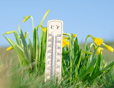 Miniatura: Uważasz się za mistrza przysłów? Ten QUIZ...