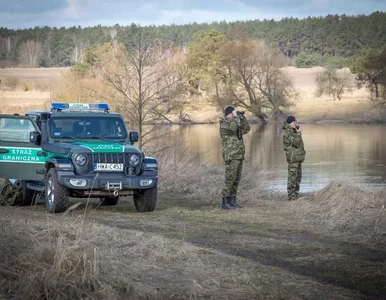 Miniatura: 509 prób nielegalnego przekroczenia...