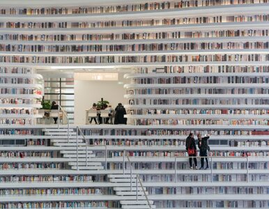 Miniatura: W Chinach powstała niesamowita biblioteka....