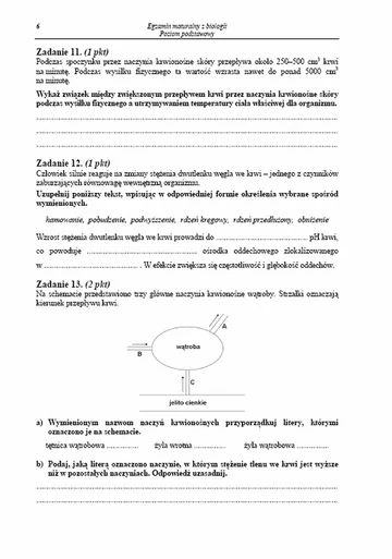 Matura 2013. Zobacz arkusze egzaminacyjne z biologii - poziom podstawowy (fot.CKE)