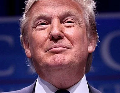 Miniatura: R.E.M. atakują Trumpa za użycie ich...