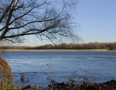 Miniatura: Specjalna grupa nurków pomoże szukać ciała...