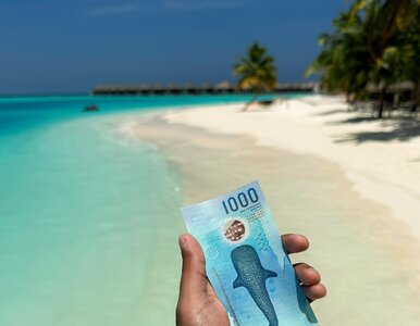 Miniatura: Podwodny świat na banknotach. Oto...