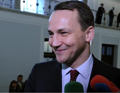 Miniatura: Sikorski wyróżnił portugalskiego politologa