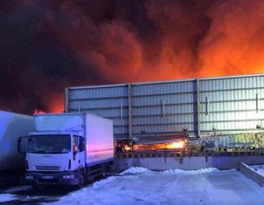 Miniatura: Potężny pożar trawi halę. „Trwa walka”