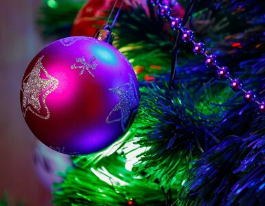 Miniatura: Świąteczny QUIZ z ortografii. Jesteś...