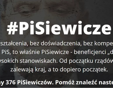 Miniatura: 255 Misiewiczów, 376 PiSiewiczów. Czy...