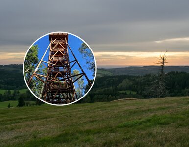 Miniatura: Nowa atrakcja w Polsce spodoba się fanom...