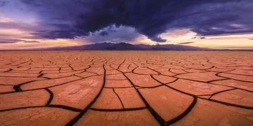 Peter Coskun 