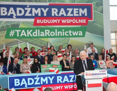 Miniatura: Ta strategia ma uchronić PiS przed...